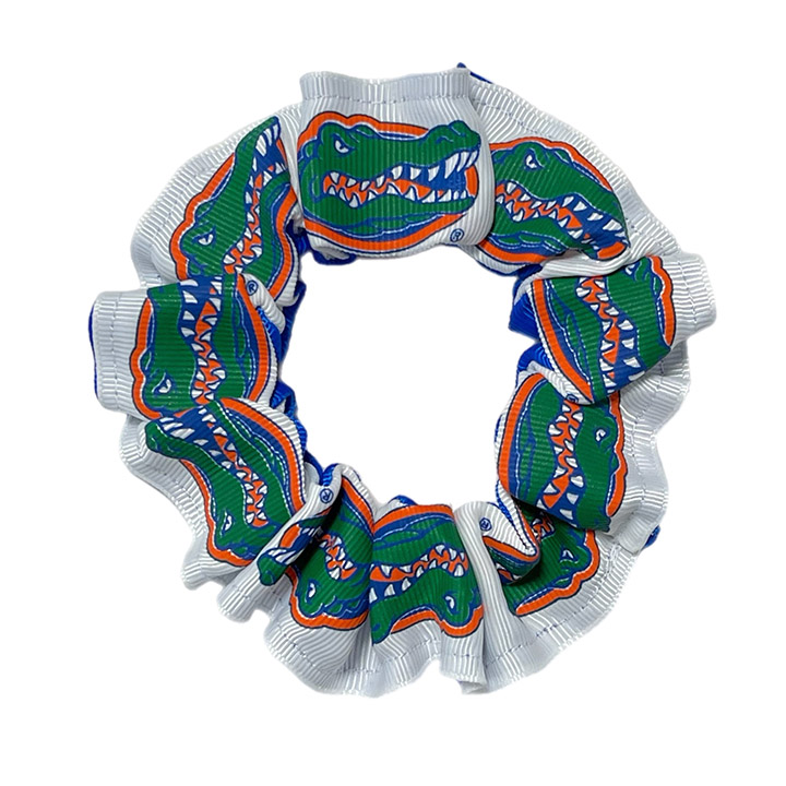 Color Pony - University of Florida
