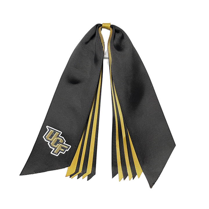 Glitter Pony Streamer - University of Central Florida