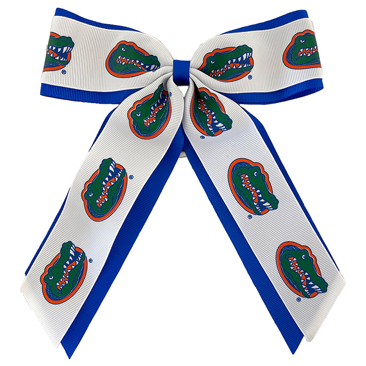 Jumbo Cheer Pony University of Florida