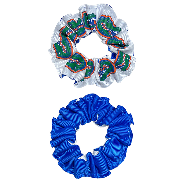 Color Pony 2 Pack - University of Florida