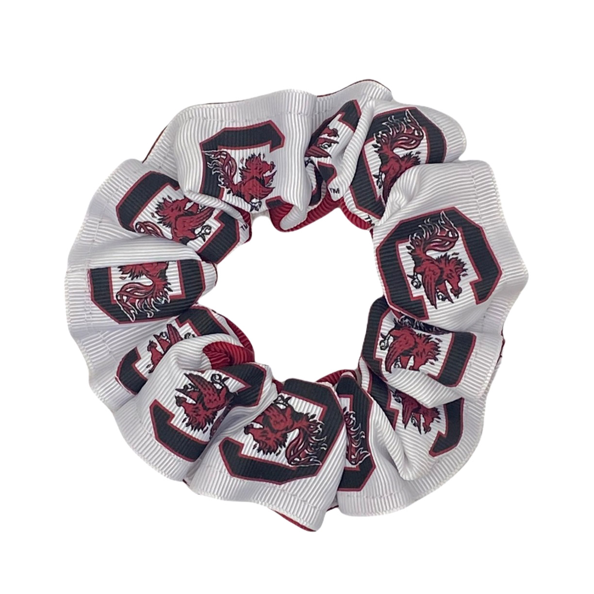 Color Pony - University of South Carolina
