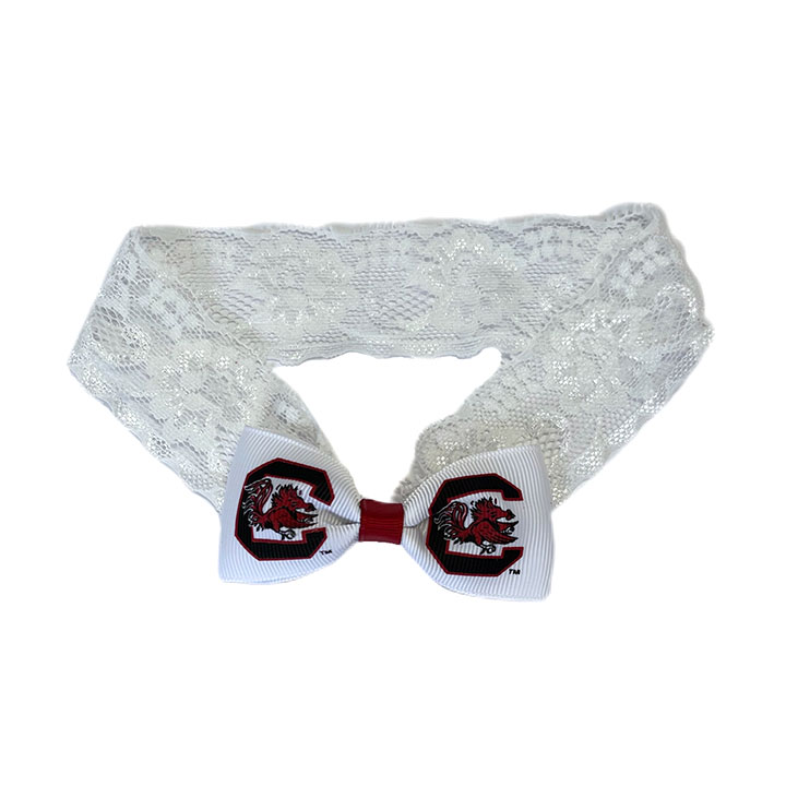 Baby Band - University of South Carolina