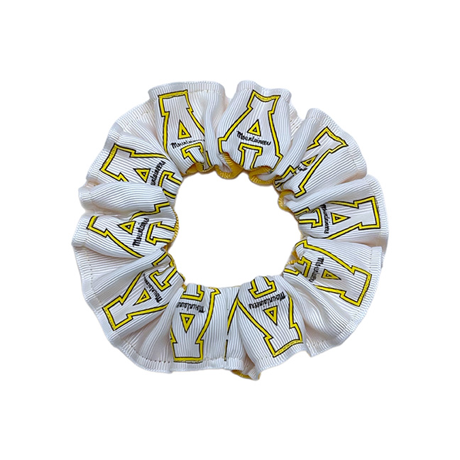 Color Pony - Appalachian State University