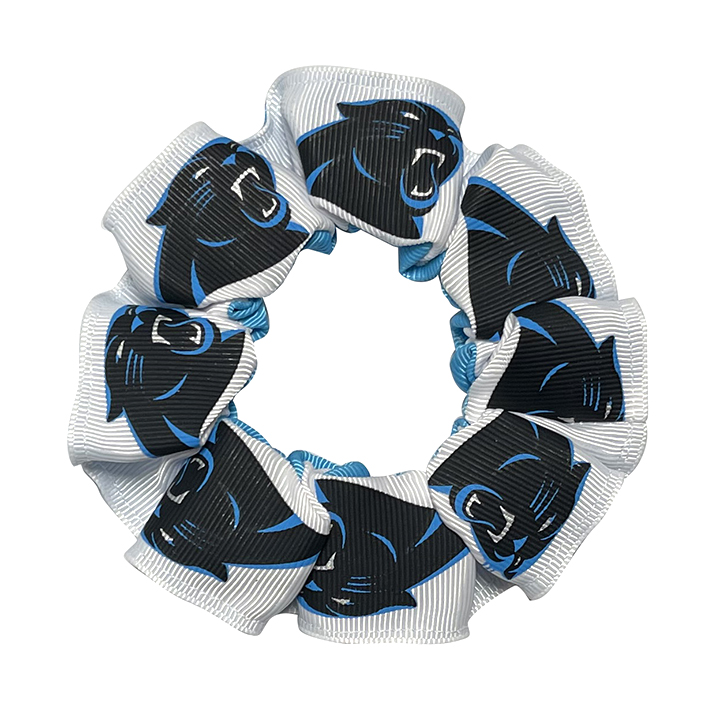Color Pony - Carolina Panthers