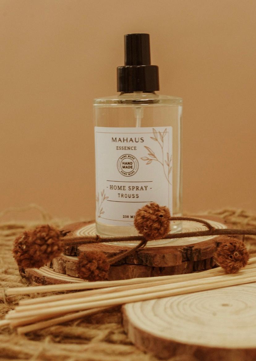 Home Spray VIDRO Trouss 250 ml