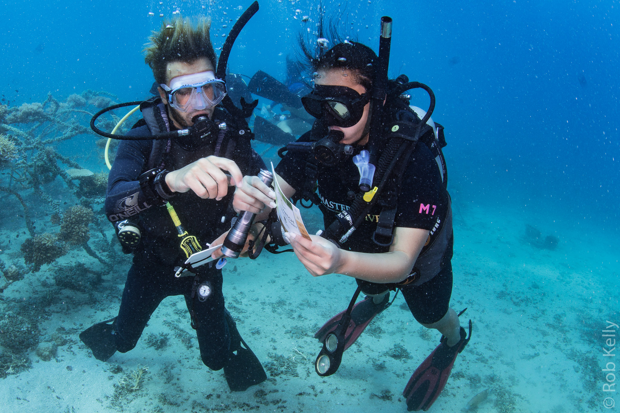 Marine Conservation Course - 5 Days (18,000THB)