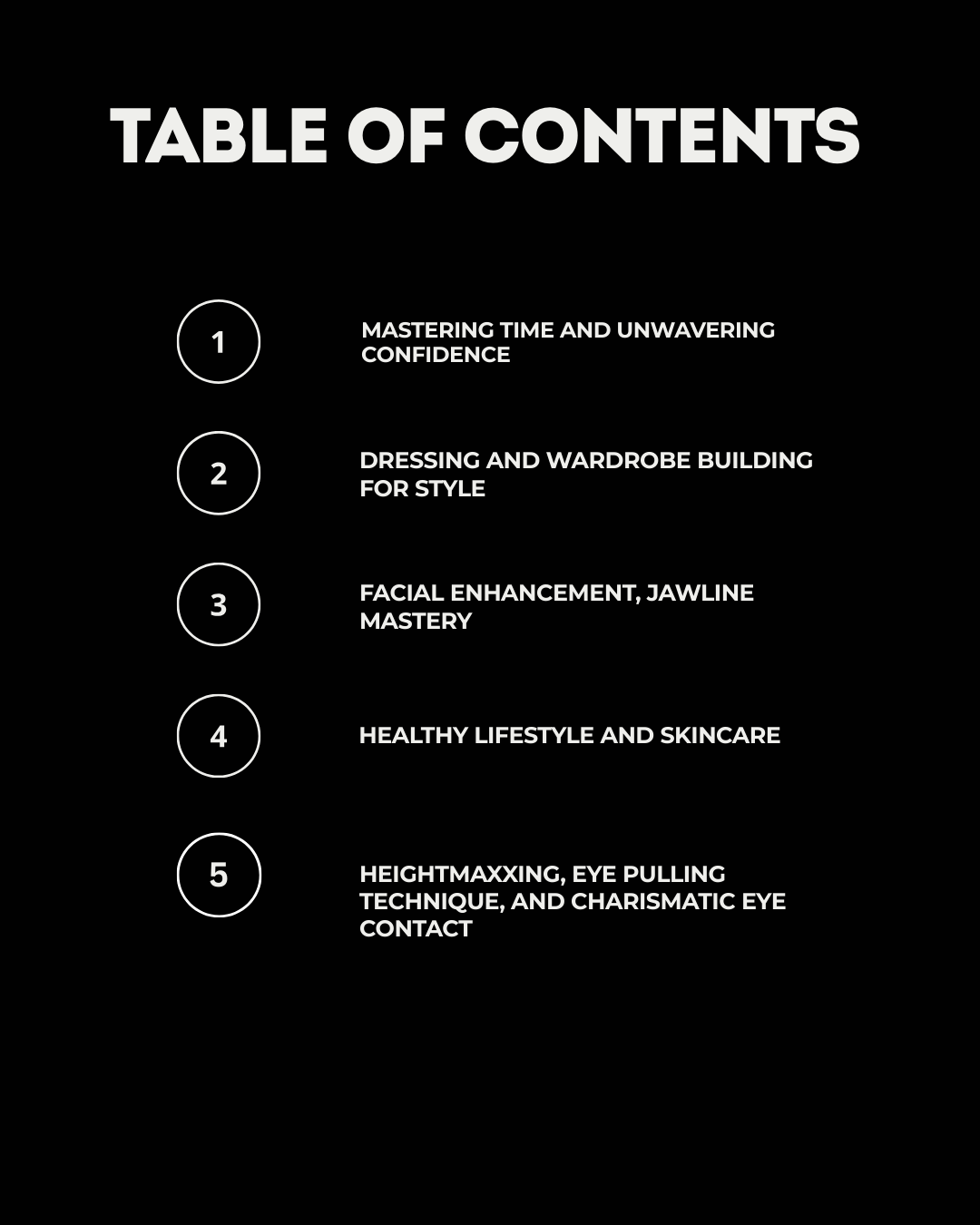 The Looksmax Playbook