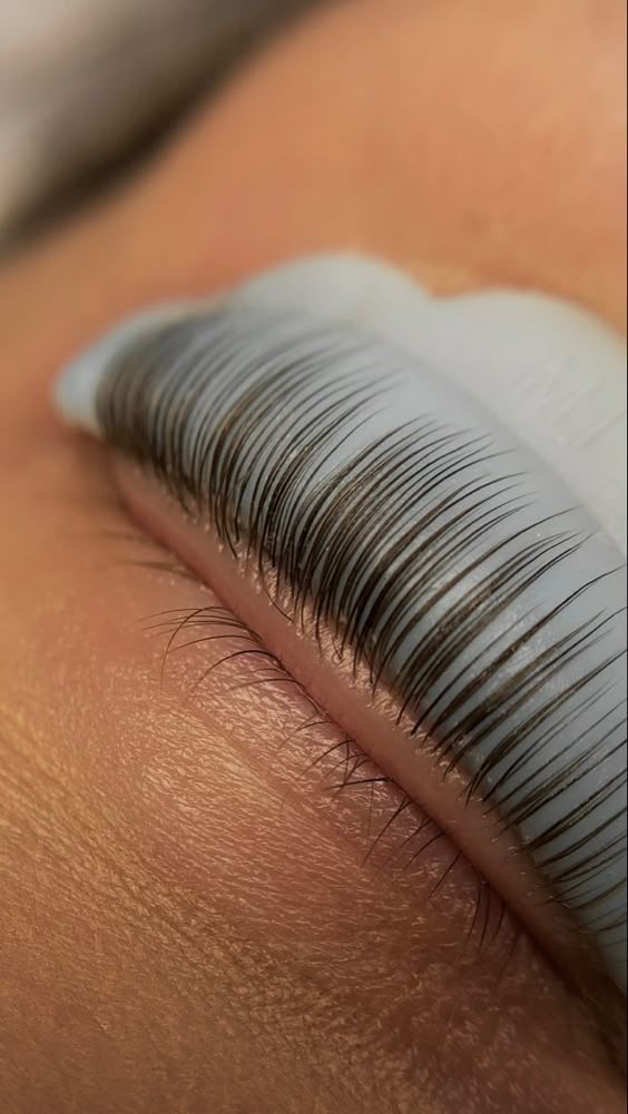 Eyelash-lift (Lash-lift)