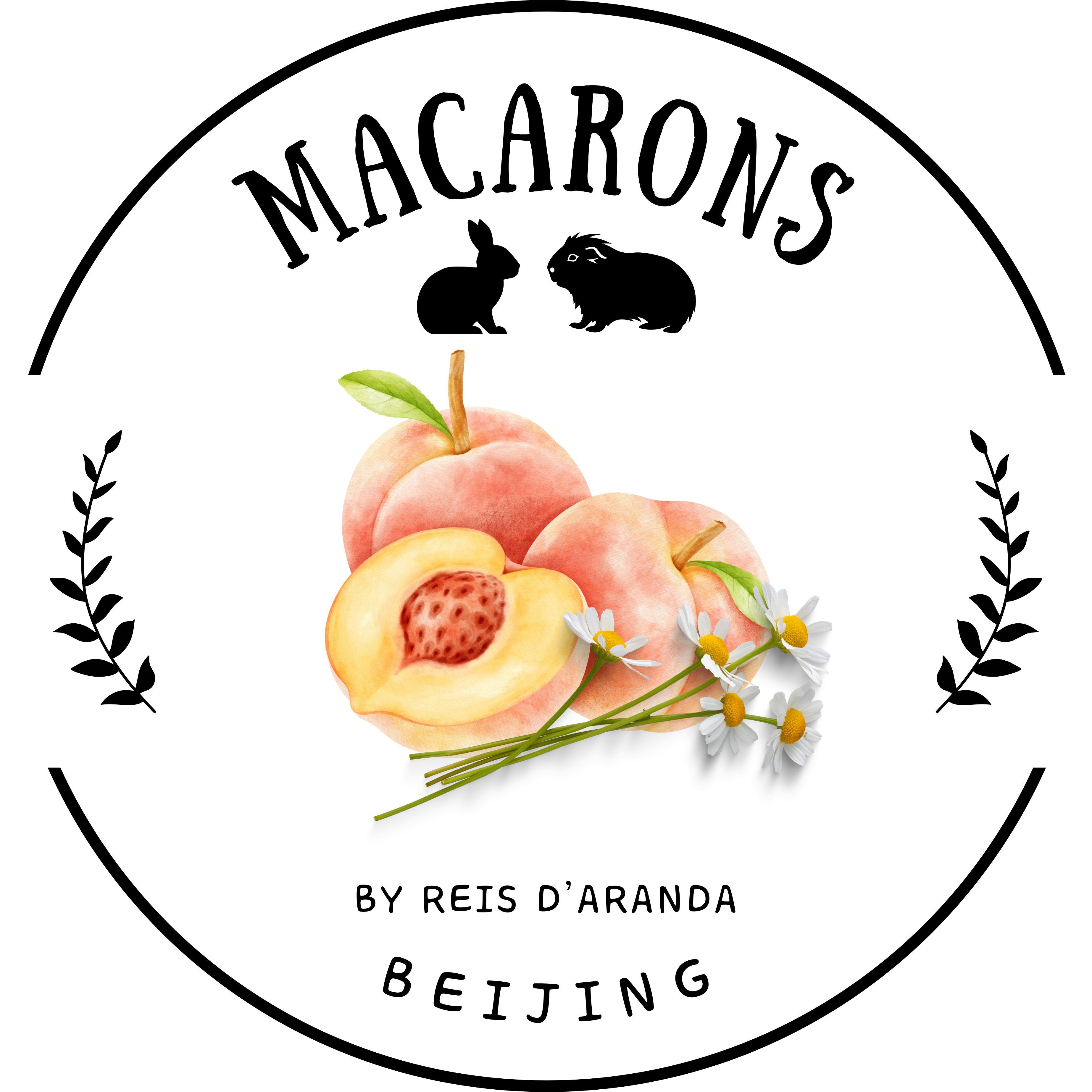 MACARONS "BEIJING"