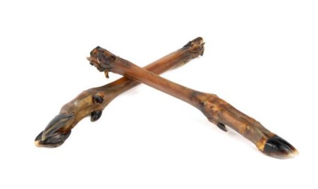 PATAS DE CORZO SIN PELO