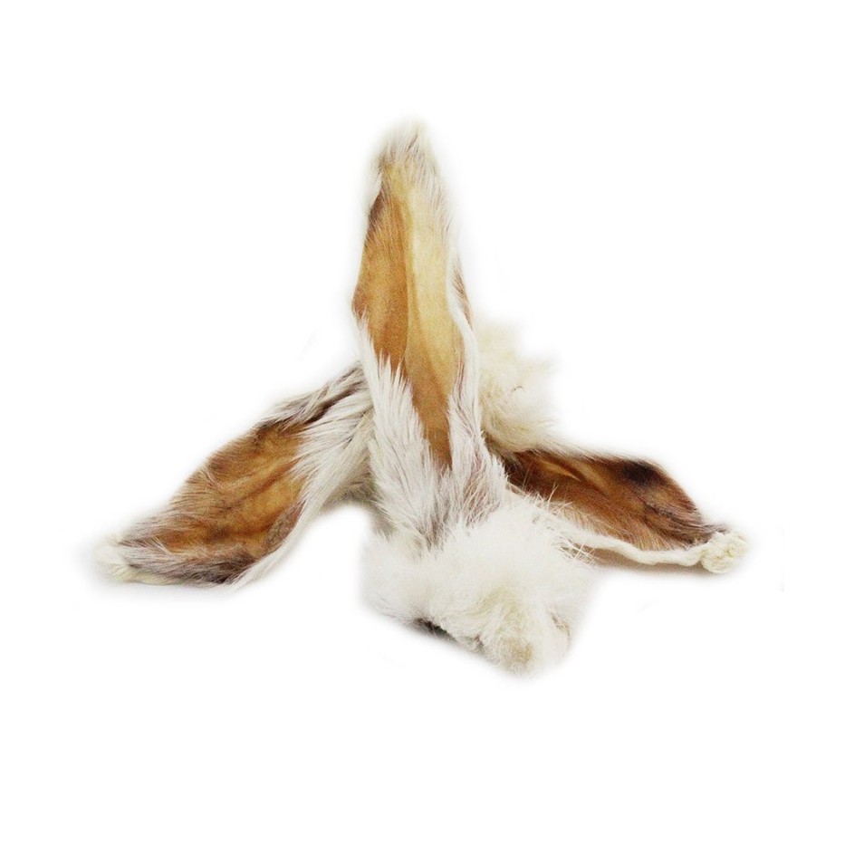 OREJAS DE CONEJO (CON PELO)