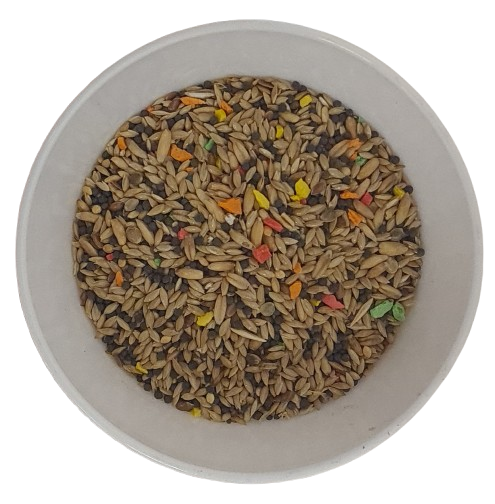 MIXTURA PARA CANARIOS