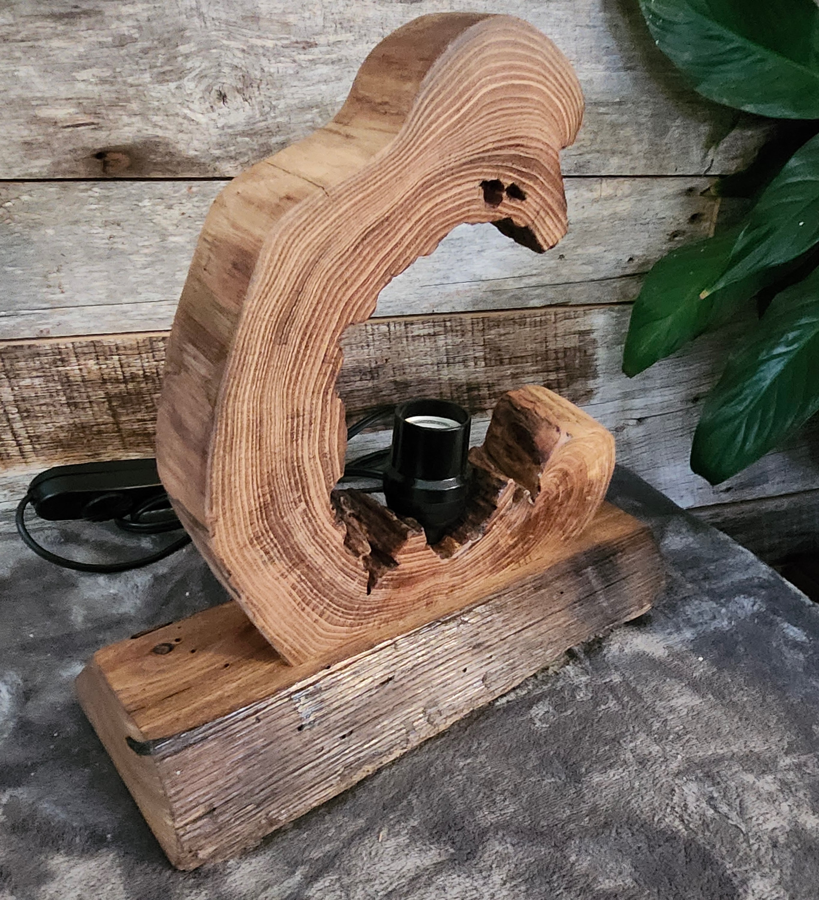 Night Lite/Accent Lamp