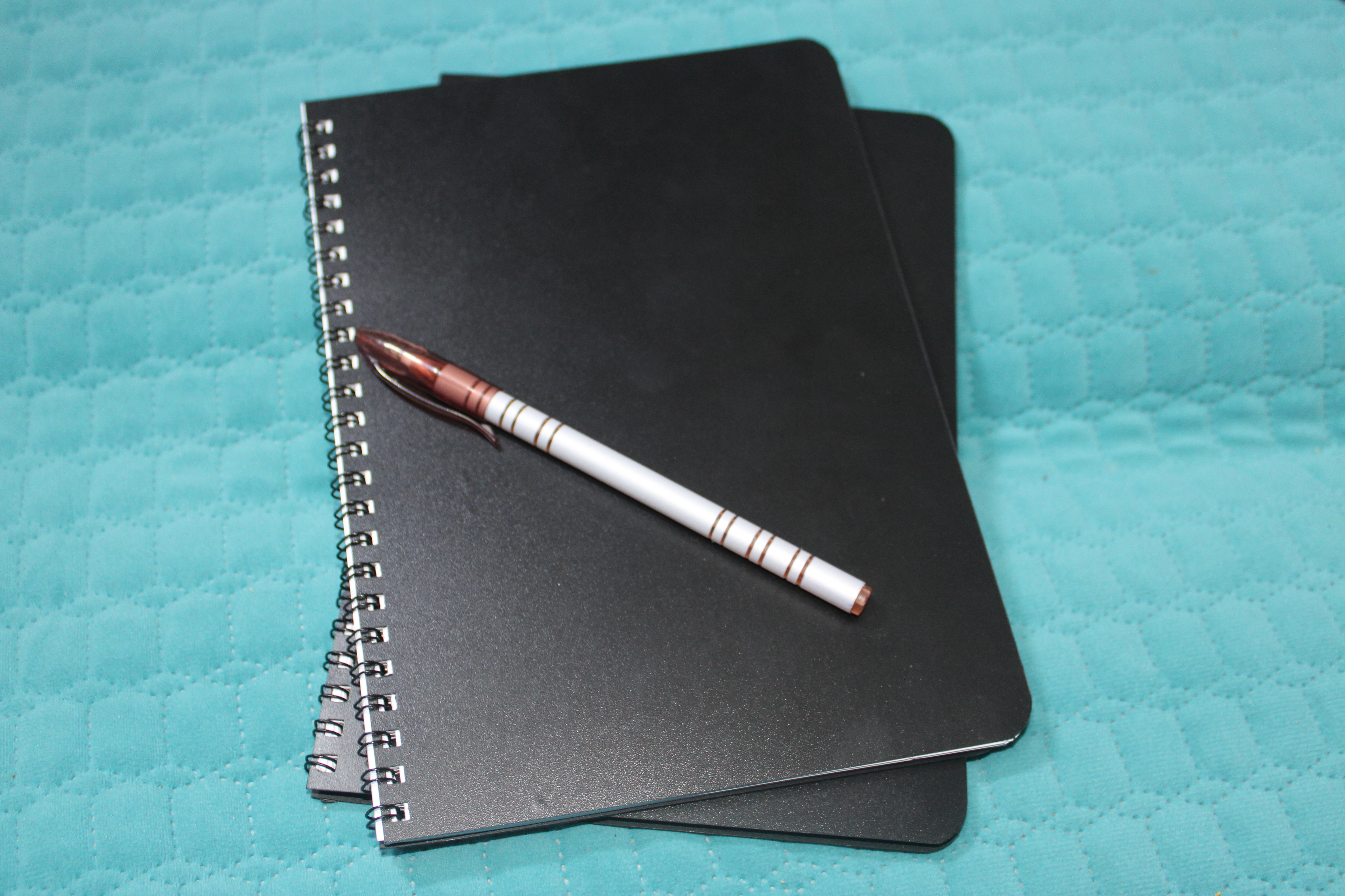 Black Professional Diary ( 30 pages)