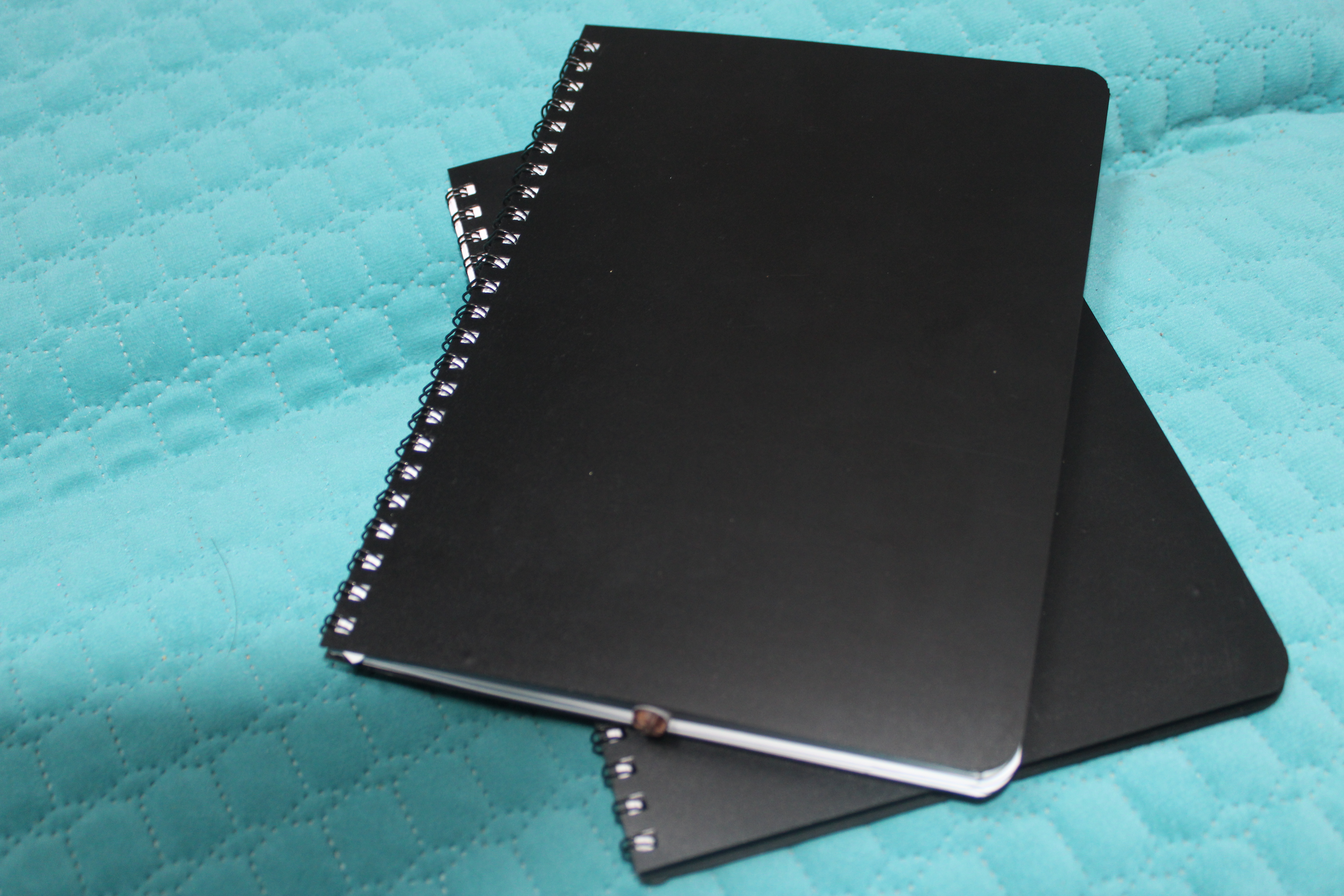 Black Professional Diary (50 Pages)