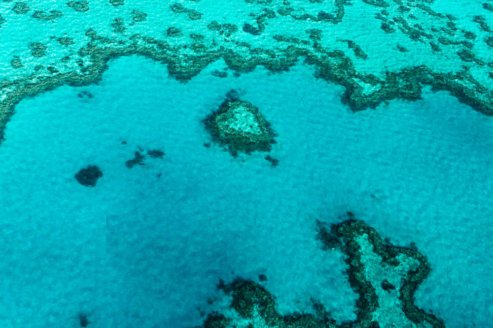 El Corazón del Arrecife