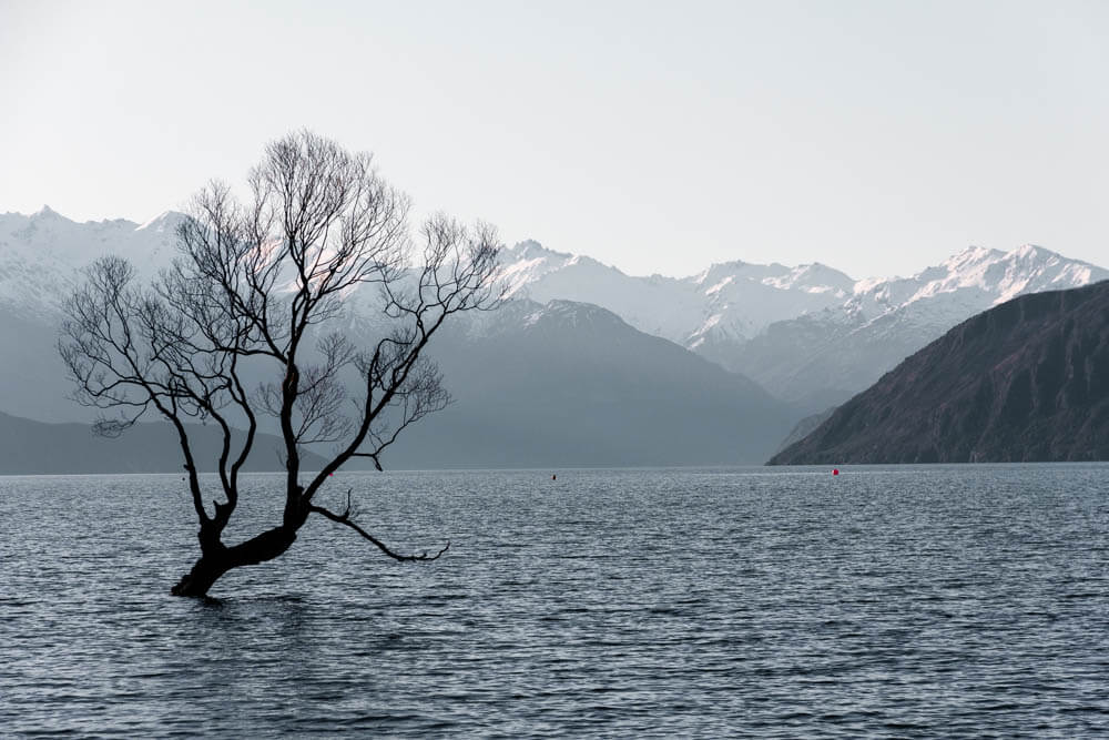 Wanaka