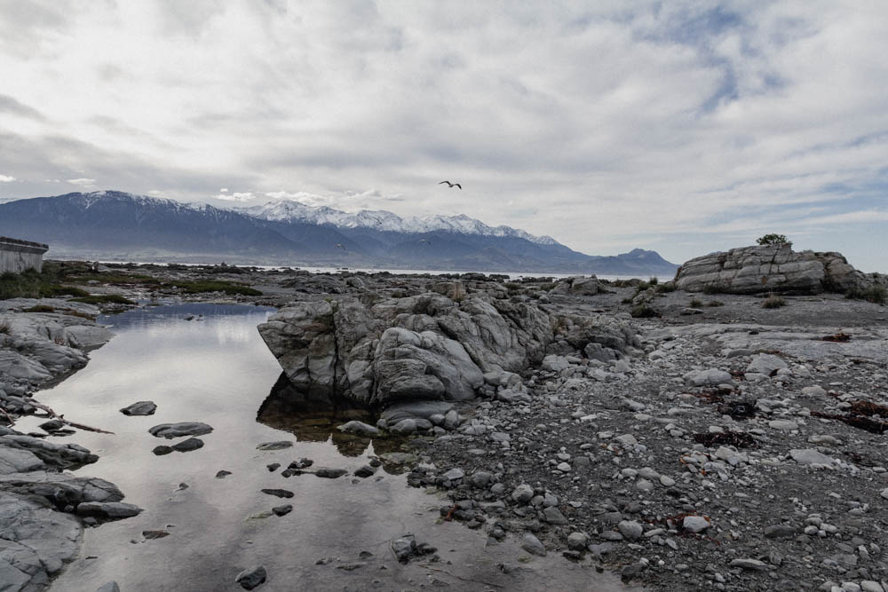 Kaikoura, New Zealand