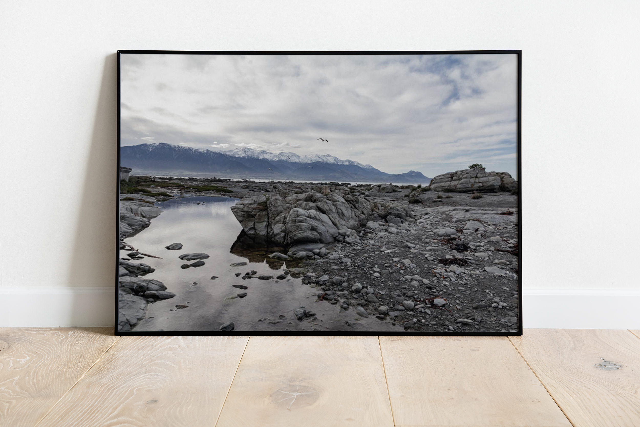 Kaikoura, New Zealand