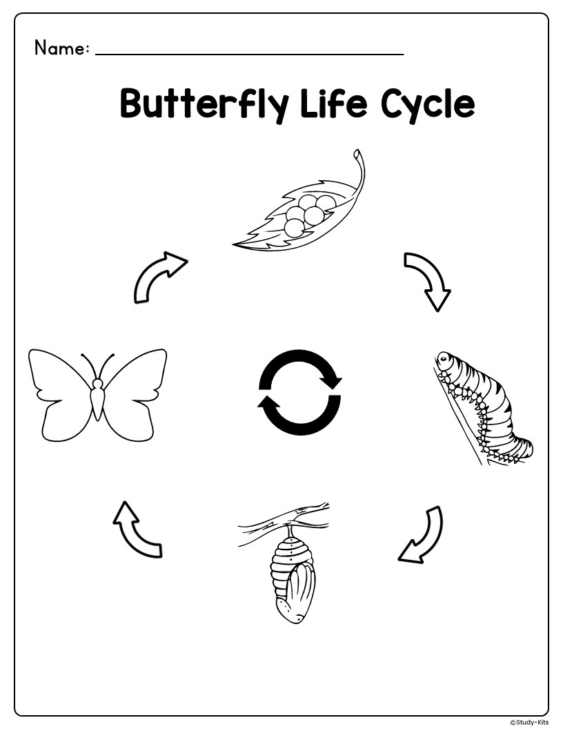 Butterfly Life Cycle Learning Activity Packet