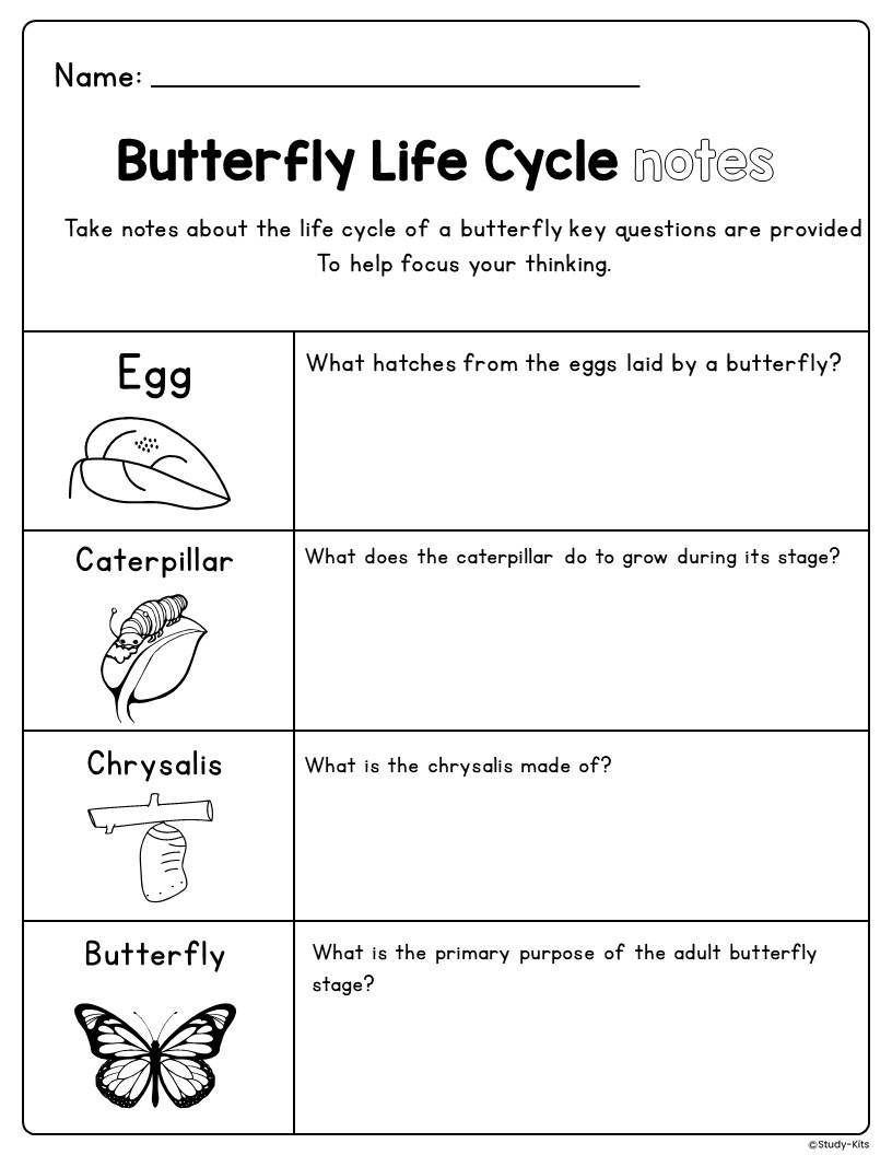 Butterfly Life Cycle Learning Activity Packet