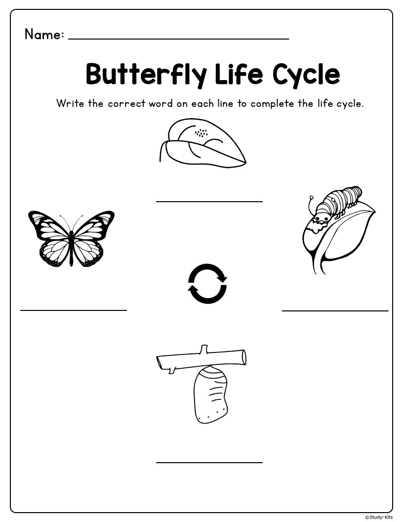 Butterfly Life Cycle Learning Activity Packet
