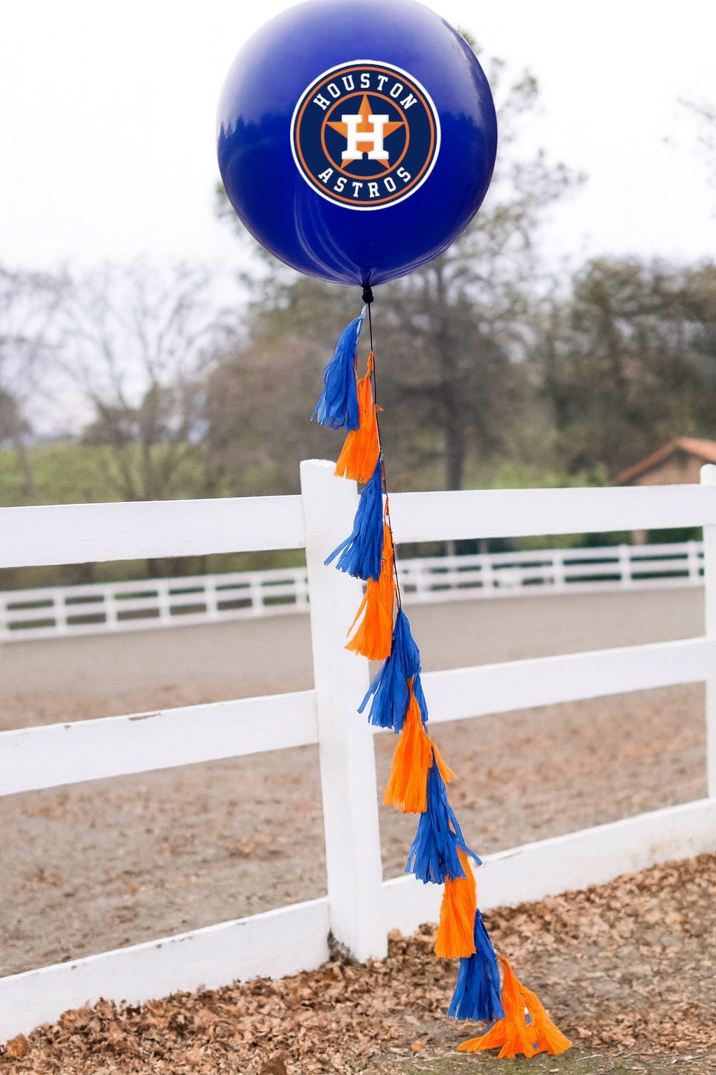 Astros Inspired Balloon with Vinyl Decal