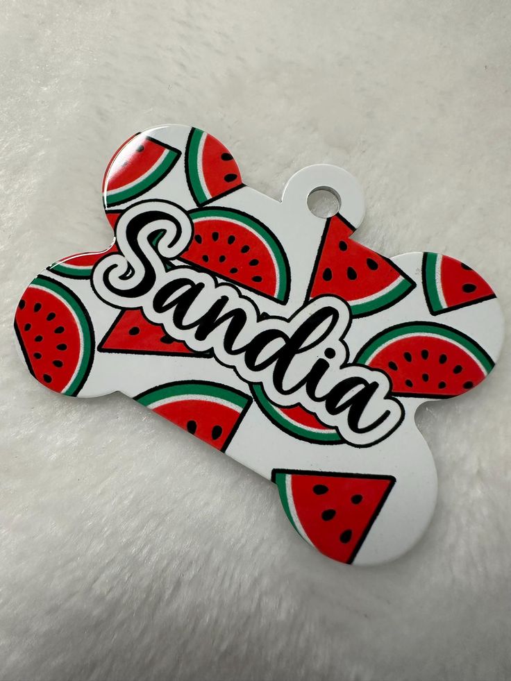 Colorful Bone-Shaped Pet ID Tags