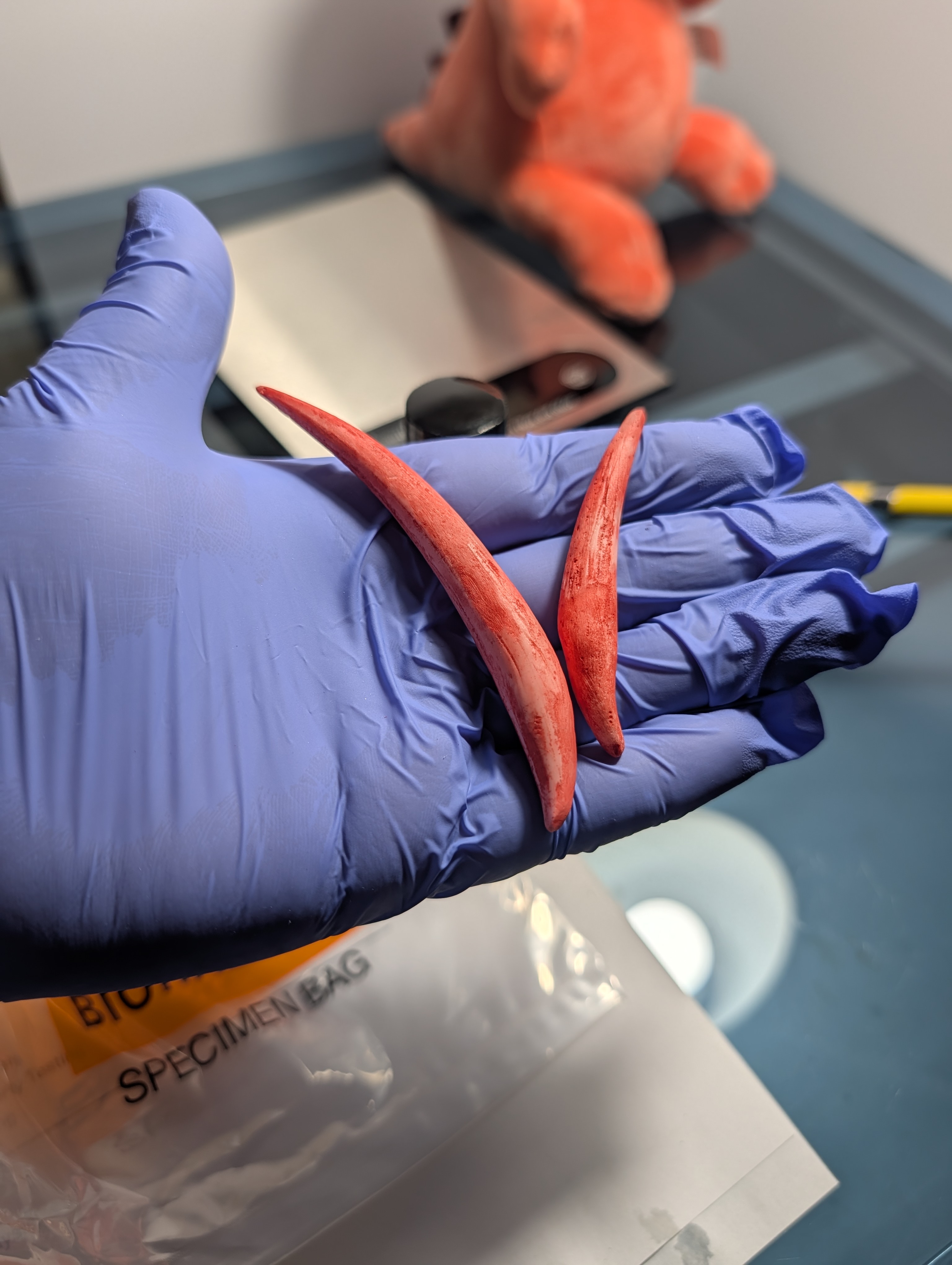 SCP-939 Teeth Lab Sample Test Kit
