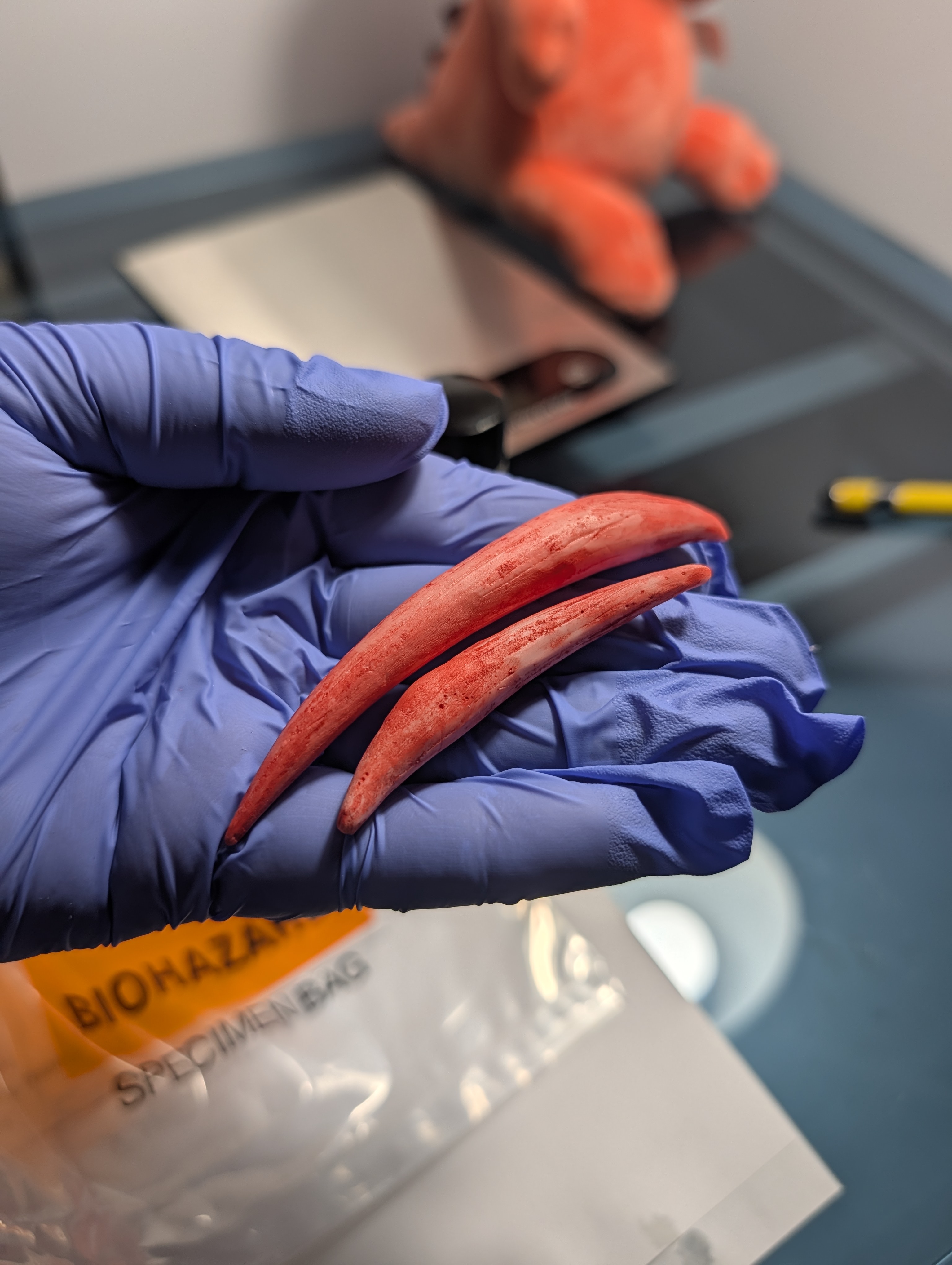 SCP-939 Teeth Lab Sample Test Kit