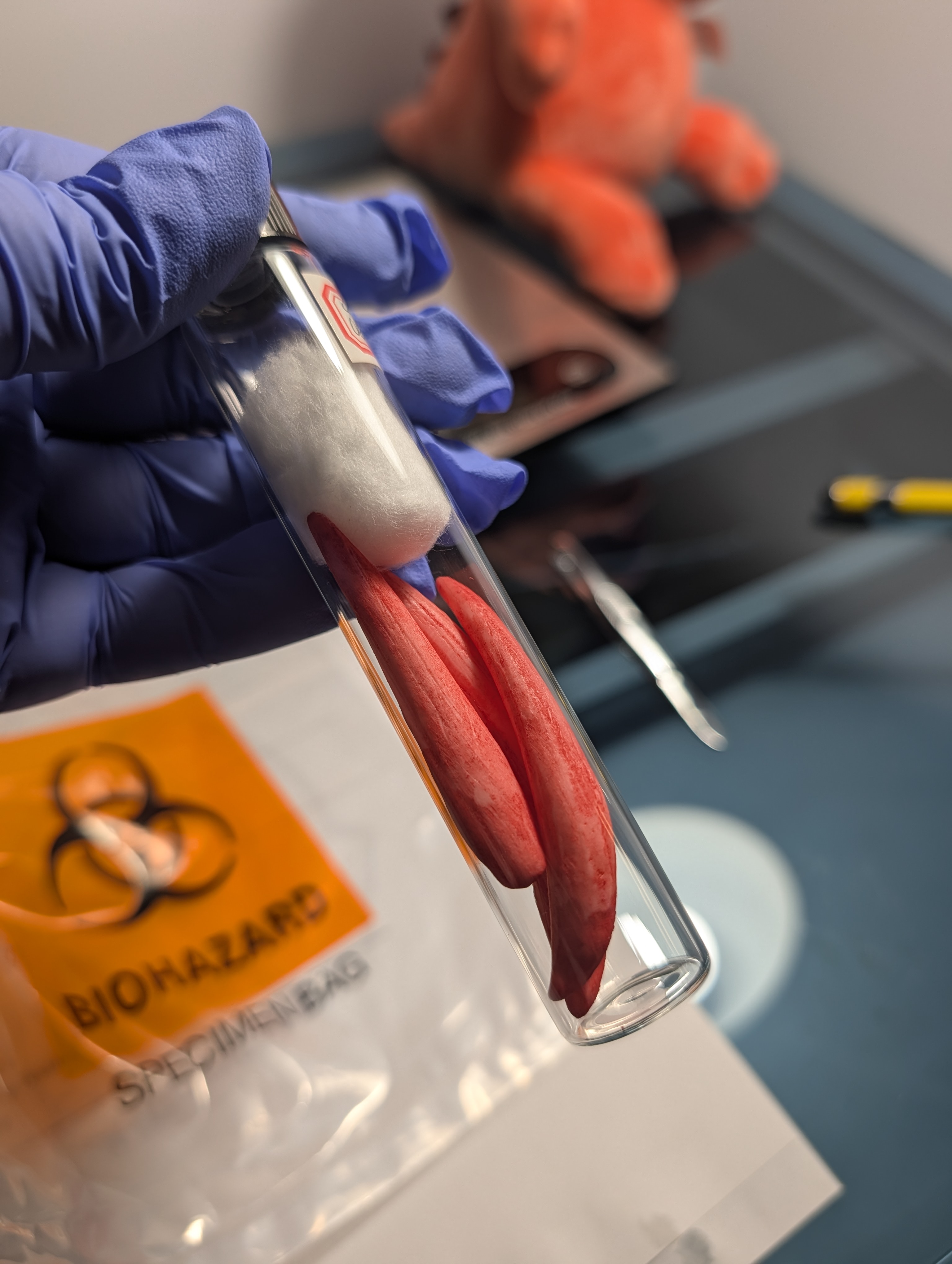 SCP-939 Teeth Lab Sample Test Kit