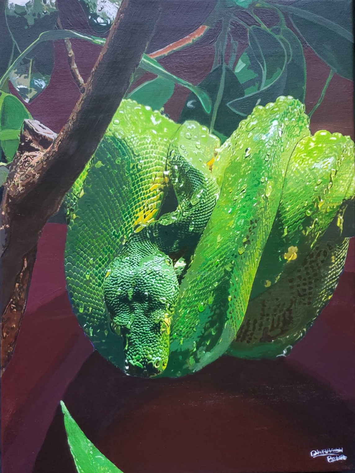 The lights whisper beauty, but the eyes promise chaos