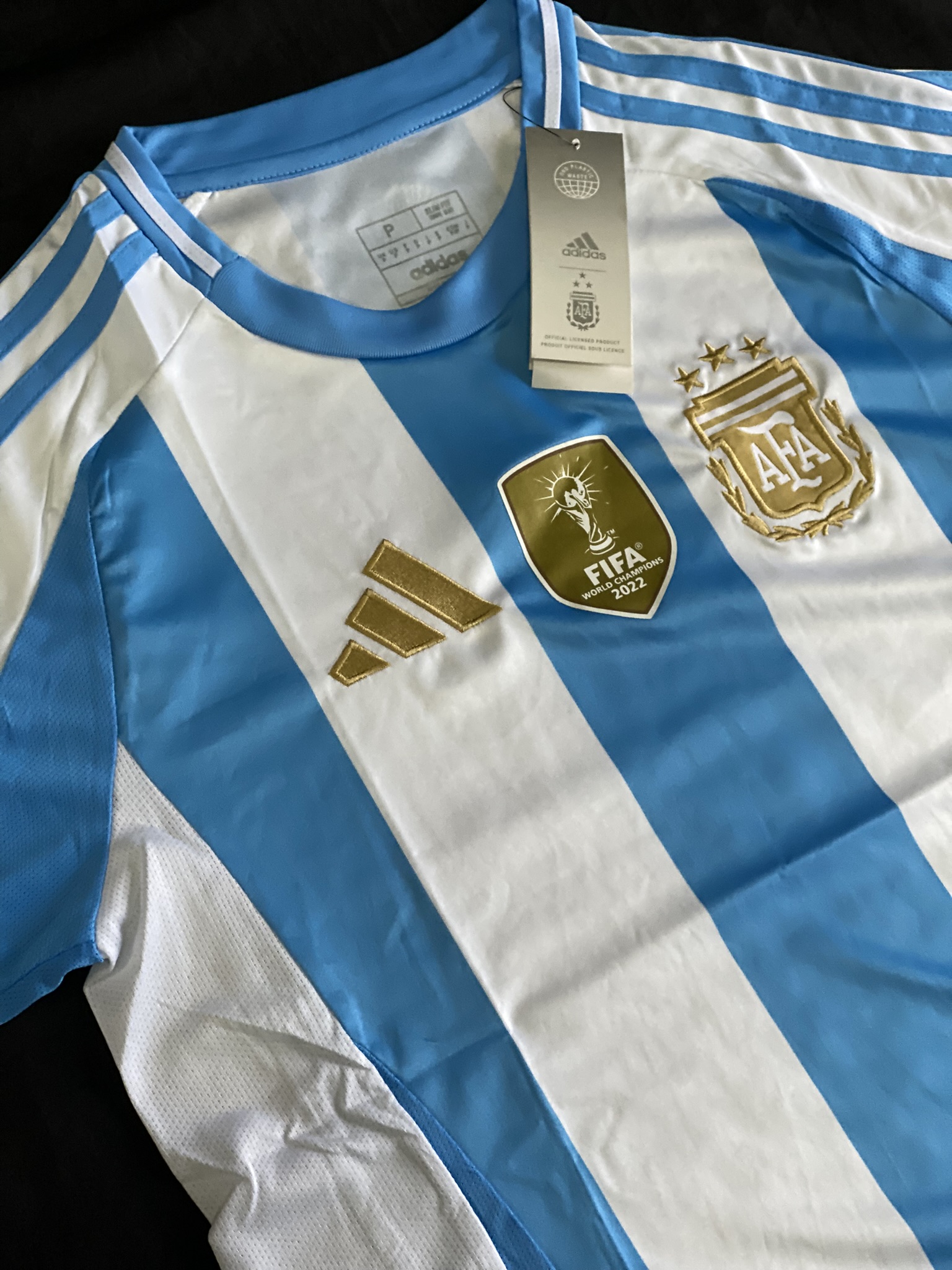 Camiseta Argentina versión hincha