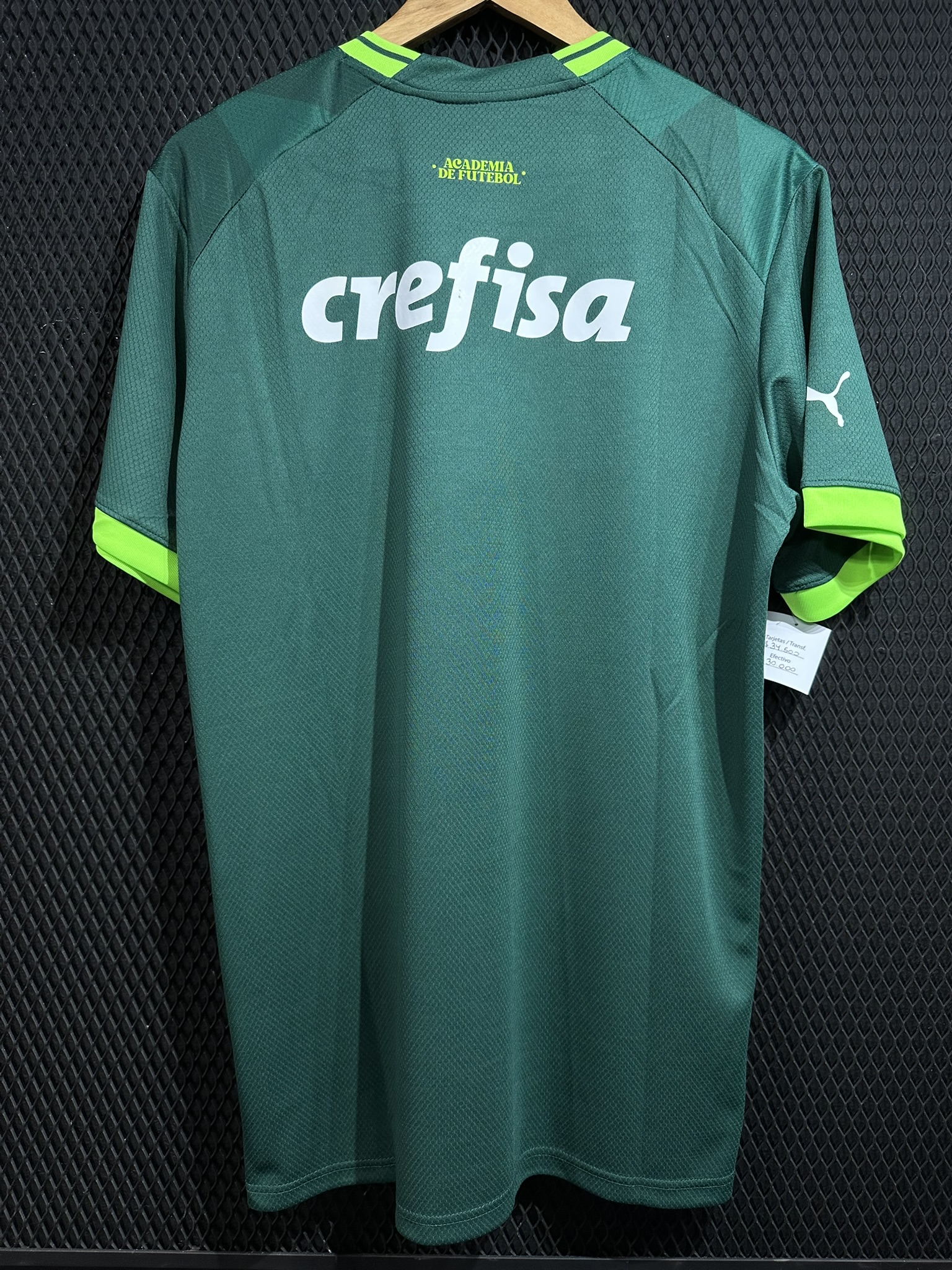 Camiseta Palmeiras 2023 Puma