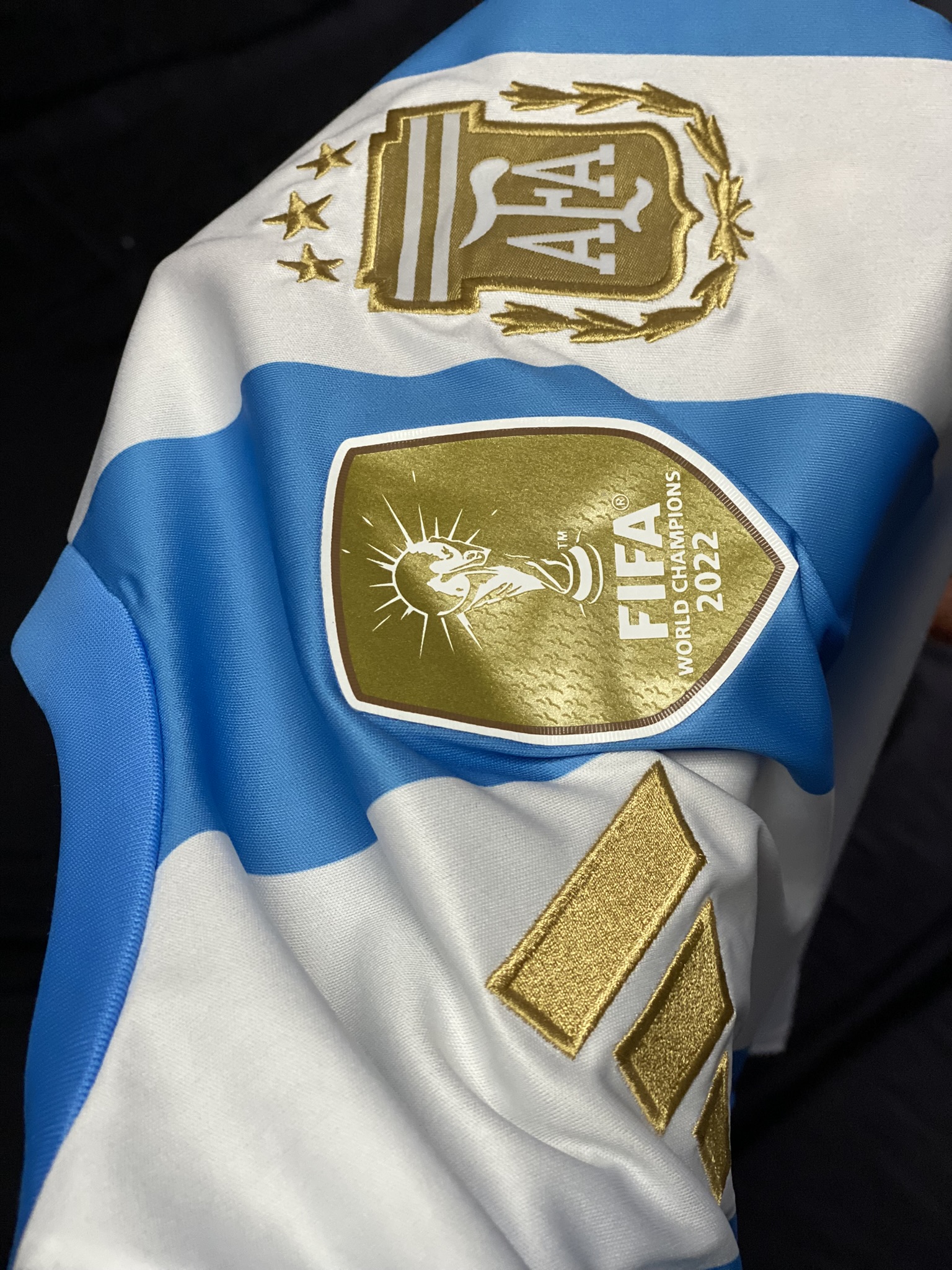 Camiseta Argentina versión hincha