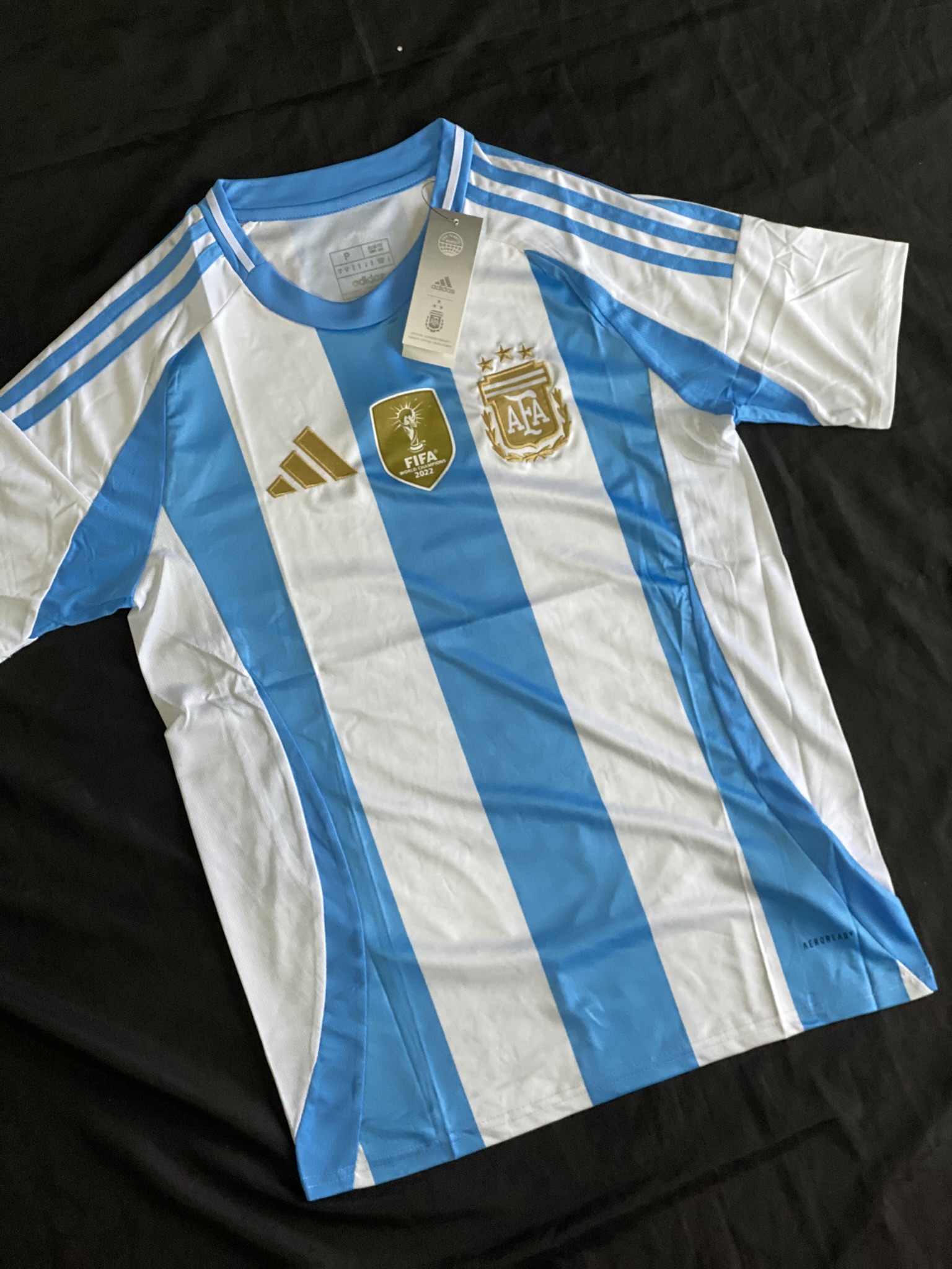 Camiseta Argentina versión hincha