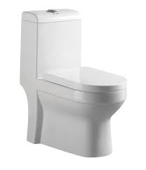 Modern One-Piece Toilet