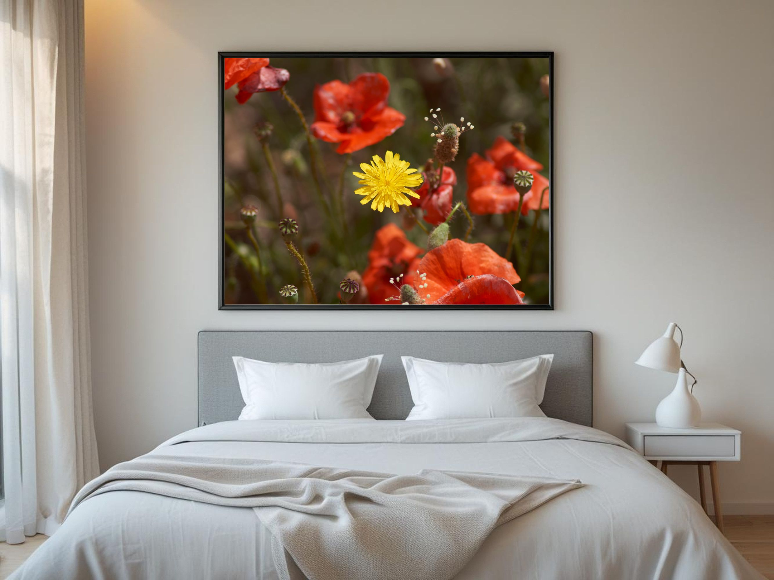 Fotografía de flor amarilla entre amapolas rojas, campo de flores silvestres, contraste de color, arte de pared floral, decoración vibrante.