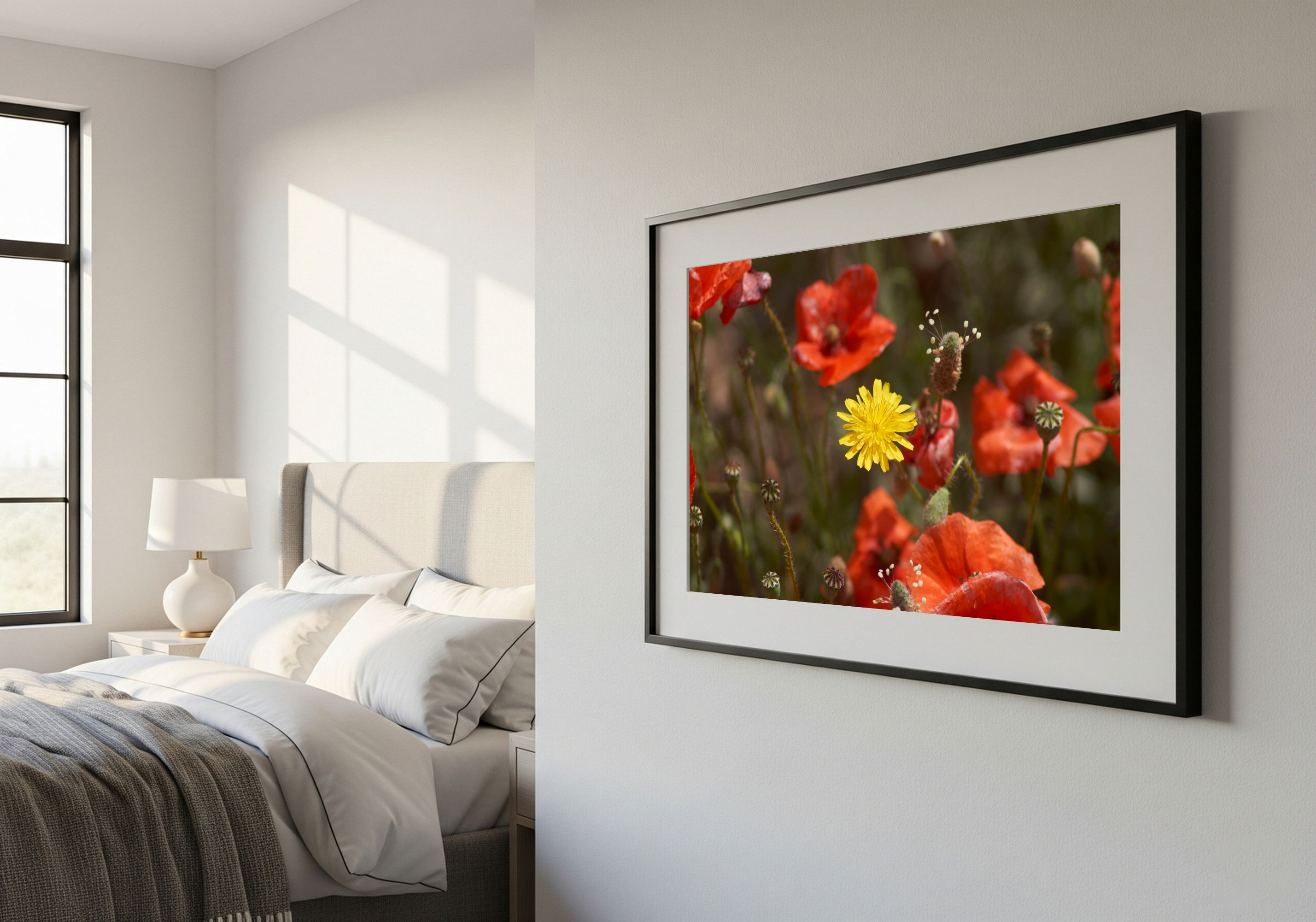 Fotografía de flor amarilla entre amapolas rojas, campo de flores silvestres, contraste de color, arte de pared floral, decoración vibrante.