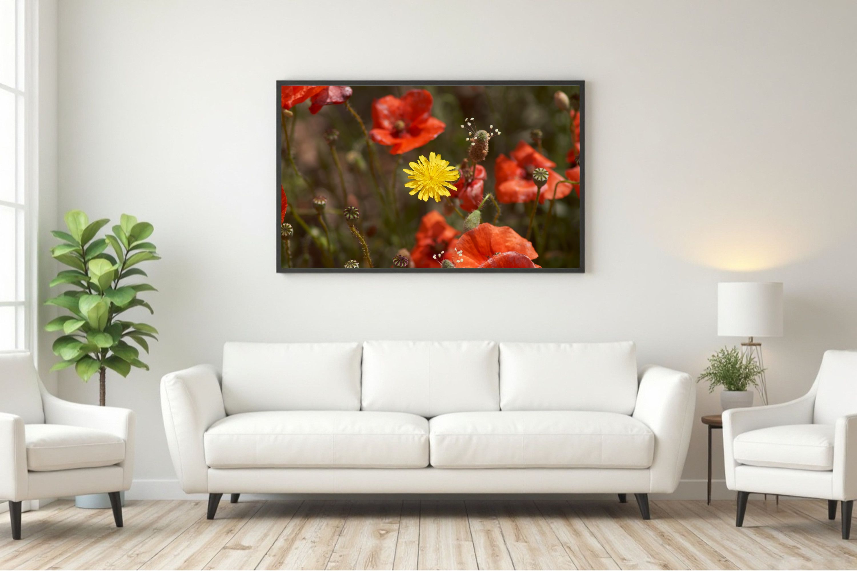 Fotografía de flor amarilla entre amapolas rojas, campo de flores silvestres, contraste de color, arte de pared floral, decoración vibrante.