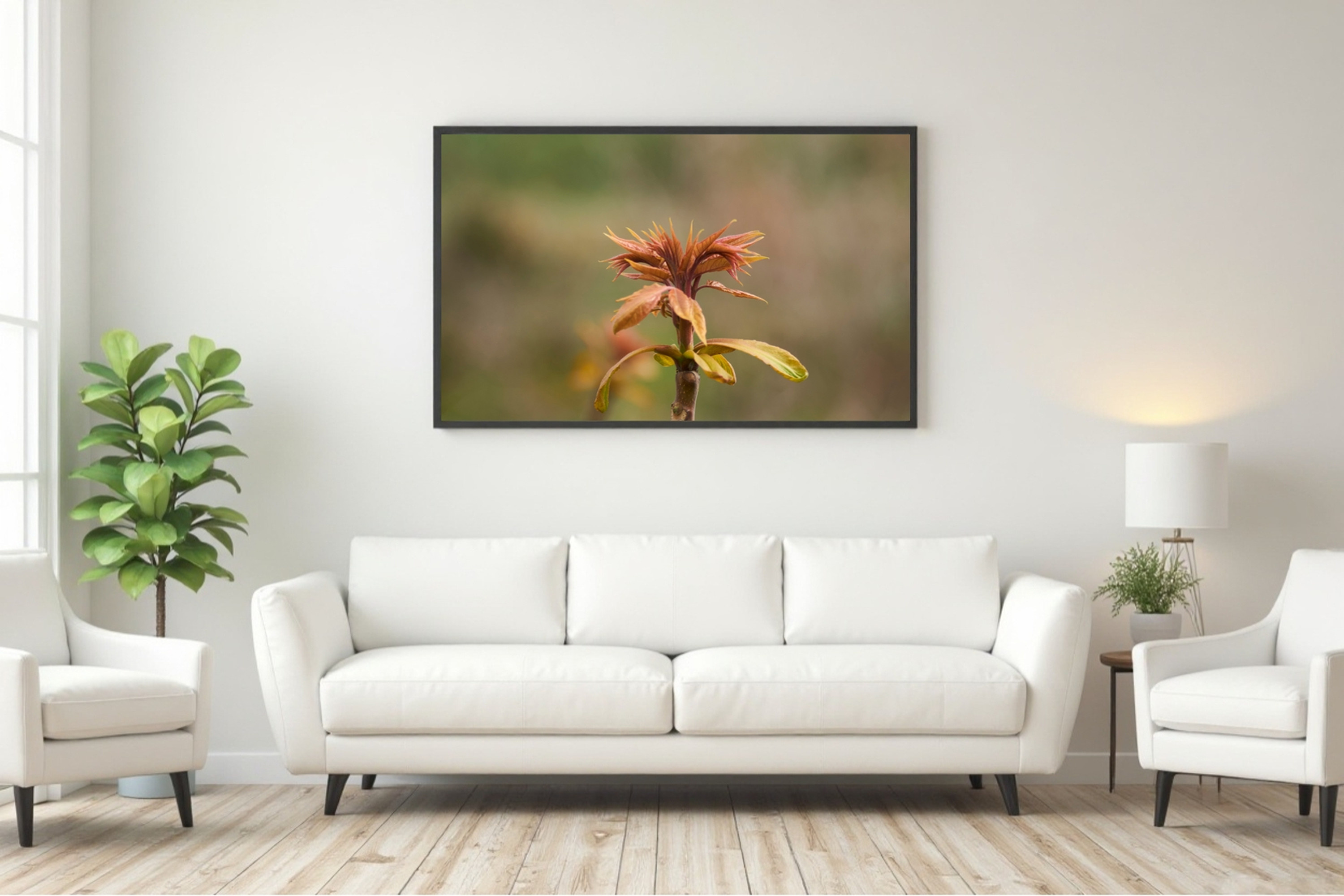 Brote de planta silvestre renaciendo