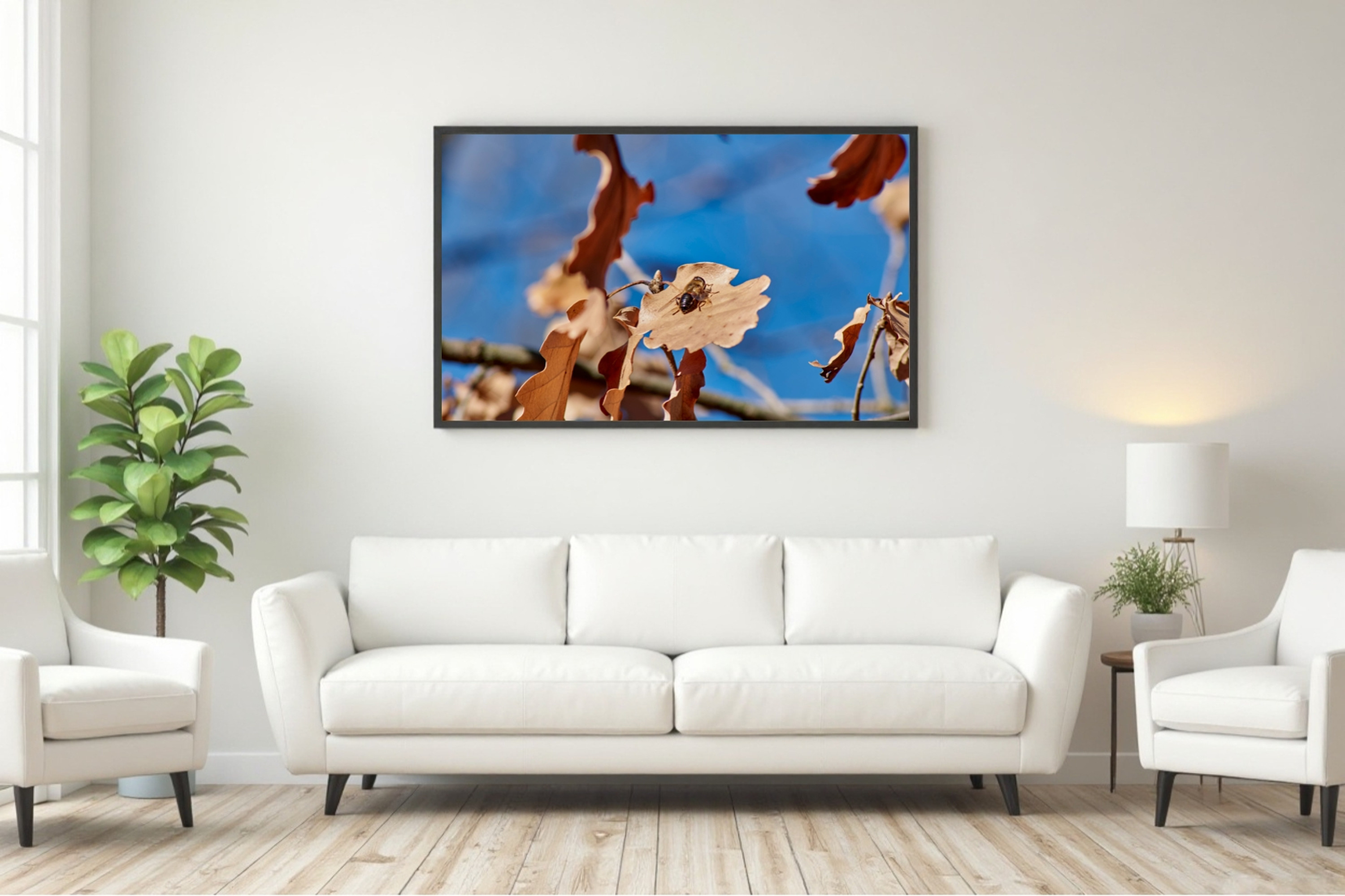 Fotografía macro de abeja en hoja de roble, imagen de arte veraniego, póster de naturaleza, decoración de pared azul y marrón.