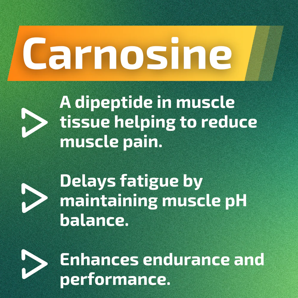 LactiGo Go Packets - 4 xTopical Sports Hydration Gel [10ml] (40ml total)