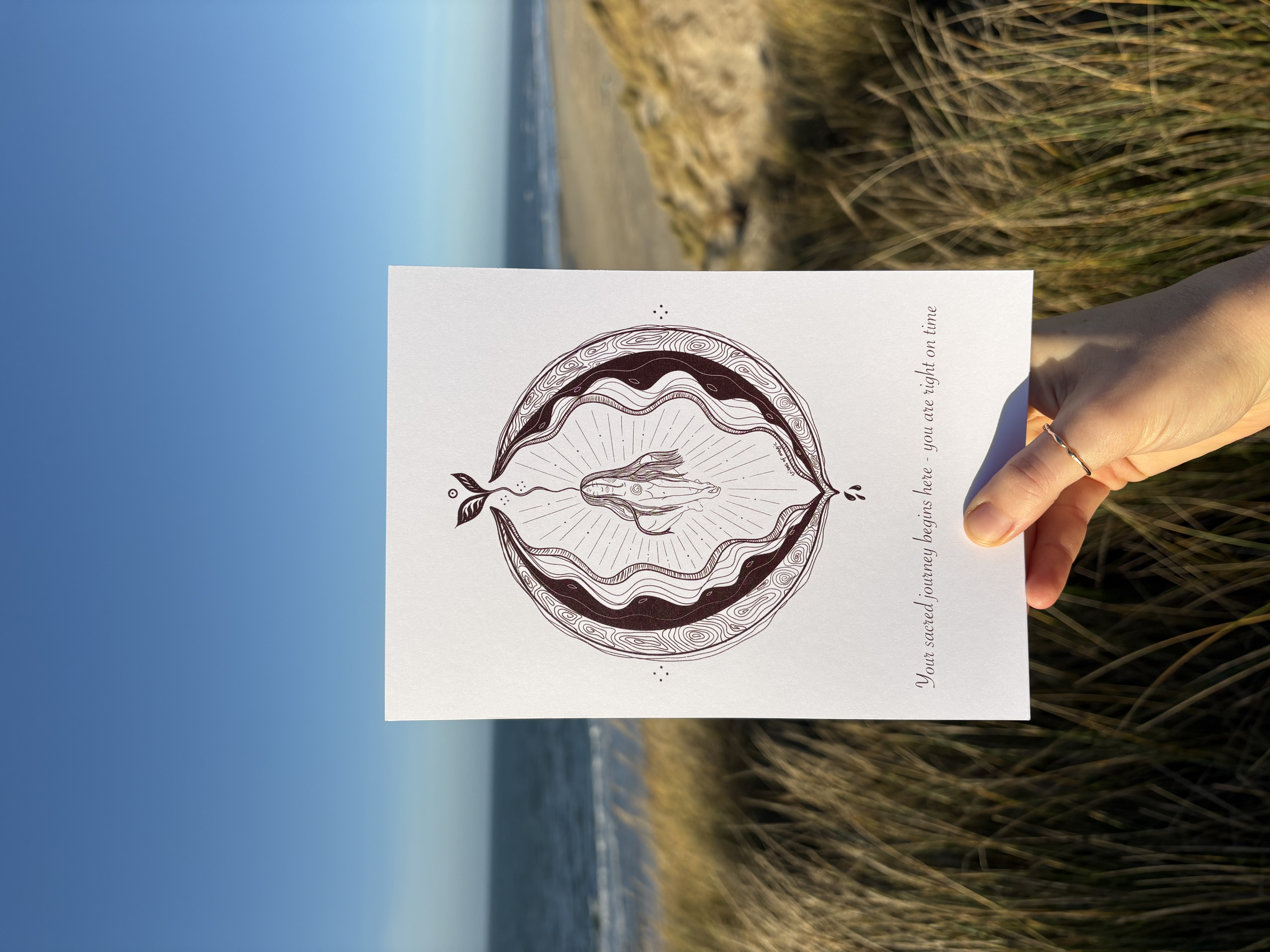 Cycles of the Earth - Card Set (6 pieces)