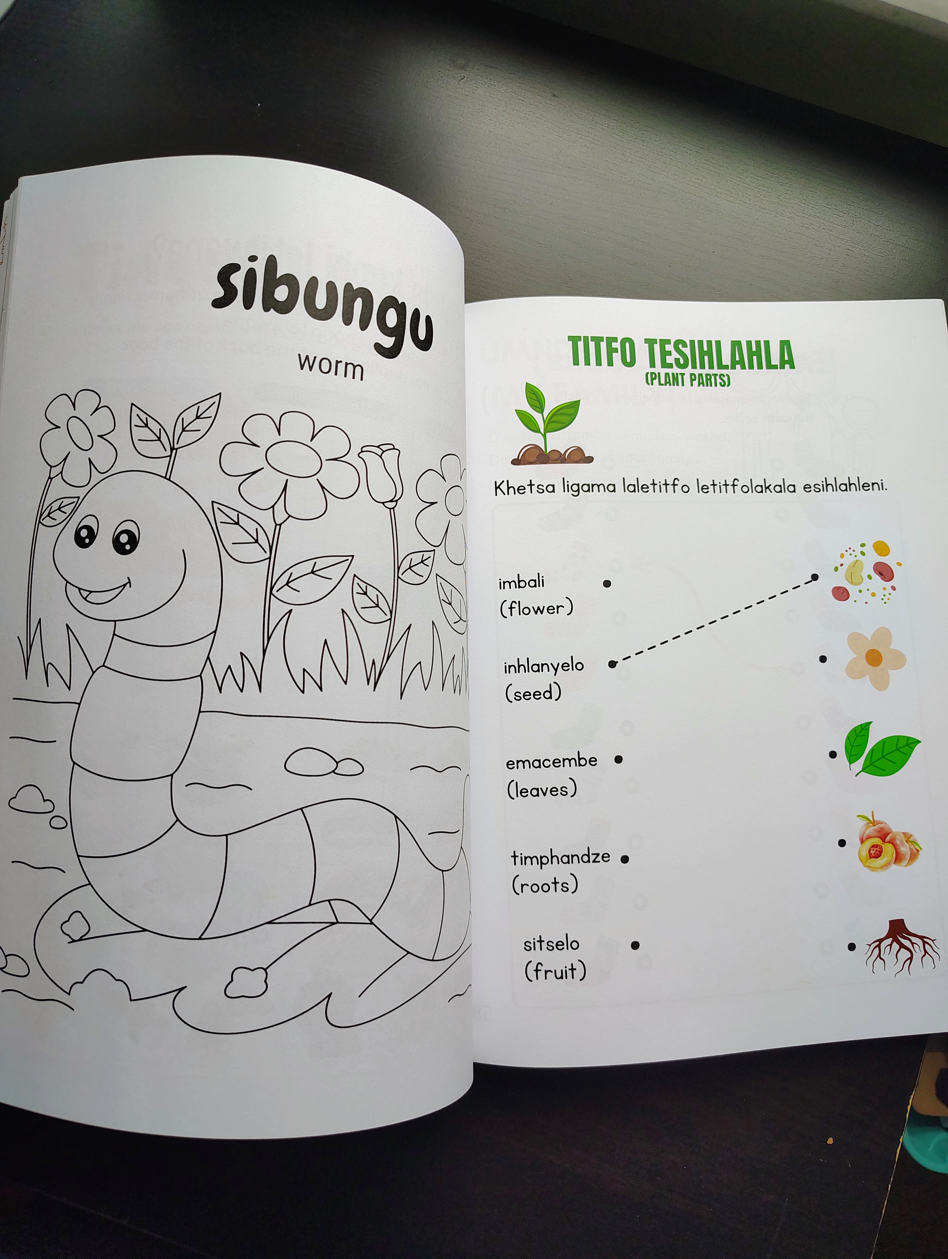 Siswati- English Activity Book