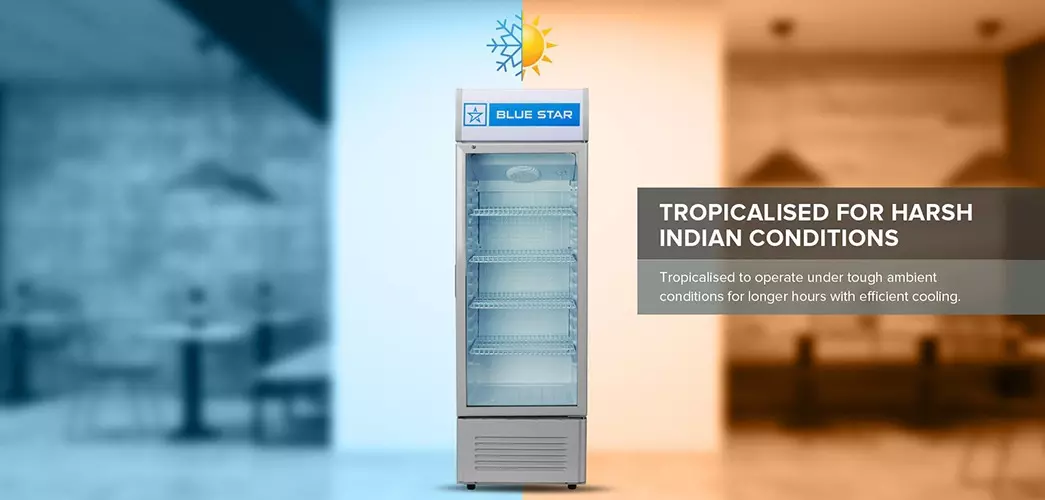 Blue Star Visi Cooler 250 VC250D
