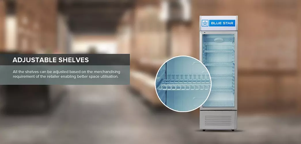 Blue Star Visi Cooler 250 VC250D