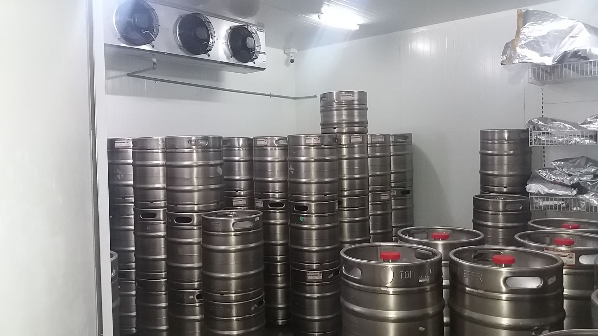 Expert Site Visit & Consultation