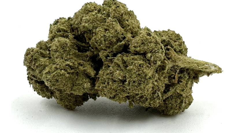 Moby Dick Fleurs CBD Premium
