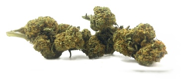 Strawberry Kush